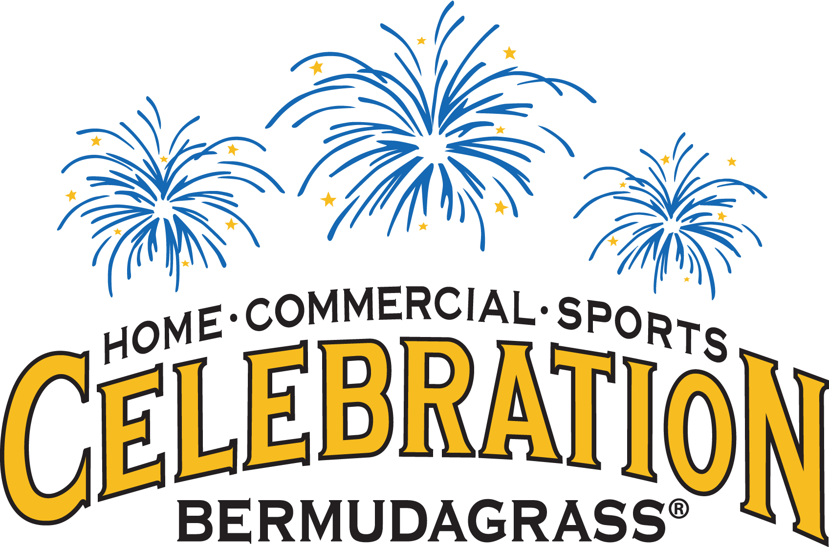 Celebration Bermuda grass grass in UCF Area