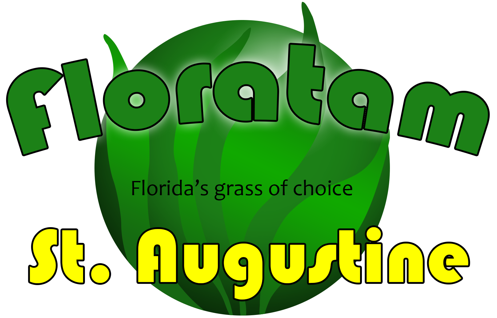 The best Floratam St Augustine grass in Orlando